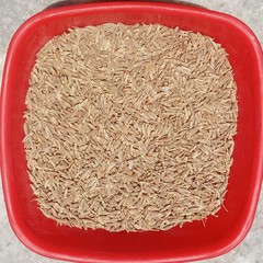 Indian Spices - Cumin Seeds/Jira