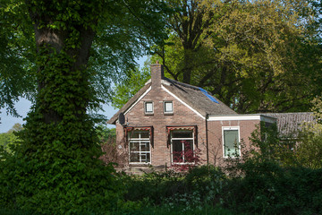 Historic colonial house. Koloniehuisje. Maatschappij van weldadigheid Frederiksoord Drenthe Netherlands