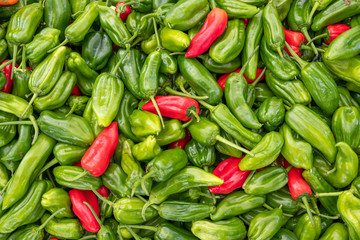 Ripe tasty green and red peppers at baazar