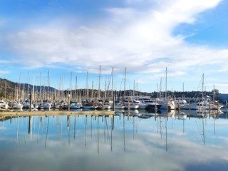 Fototapeta premium marina in Nelson New Zealand