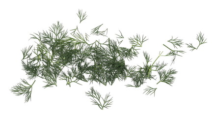 Fresh green chopped up dill pile isolated on white background, top view