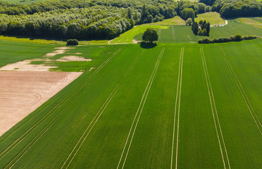 Naklejka premium Agricultural fields from above - wonderful nature - aerial view by drone