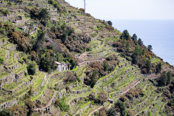 Cinque Terre - Italy - a wonder of colors in Liguria