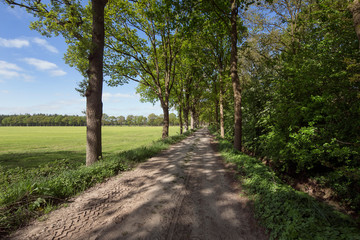 Fototapeta na wymiar Landscapes and lanes at Maatschappij van Weldadigheid Frederiksoord Drenthe Netherlands. Panorama