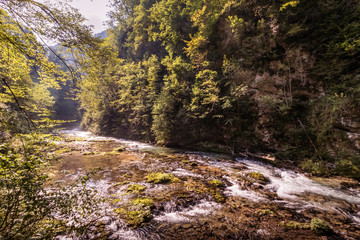 Fototapeta na wymiar Blue water mountain river in the middle with the small islands of grass and with a rays of sun shining through green and yellow tress on right and left sides in Vintgar Gorge, Slovenia during summer