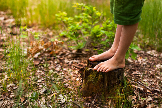Kind steht Barfu&szlig; auf Baumstamm im Wald. Kind spielt im Wald. Kind erforsch die Natur. Child stands barefoot on tree trunk in the forest. Child is playing in the forest. Child explore nature.
