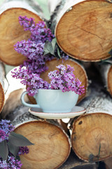 Spring still life a bouquet of lilacs. Concept. Greeting card with spring holiday: Mother's Day, March 8, birthday.