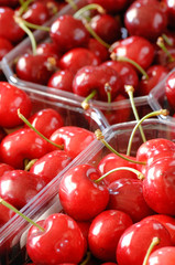 boxes of red cherry, ciliegia, ciliegia di Vignola, Emilia Romagna, diet, albero di ciliegie, coltivazione