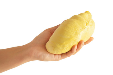 A hand holding Durian fruit arrange isolated on white background. 