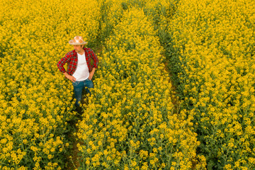 Fototapeta premium Aerial view of farmer examining blooming rapeseed field