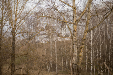 temple Church on the hill through the trees