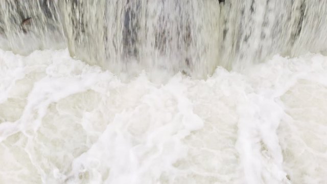 Jumping vimba fish out of Venta Rapid wild waterfalls 