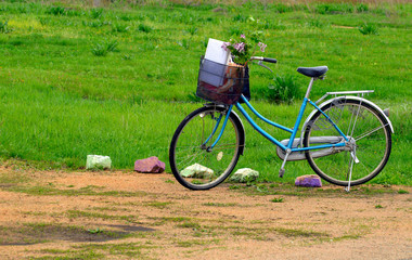 Fototapeta na wymiar Blue bicycle with a basket and flowering branches of lilac on background of grass on a summer day. Copy space