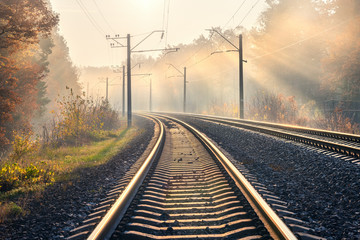Fototapeta na wymiar Railroad in beautiful forest in fog at sunrise in autumn. Colorful industrial landscape with railway platform, sky with gold sunbeams, trees in foggy morning in fall. Railway station. Transportation