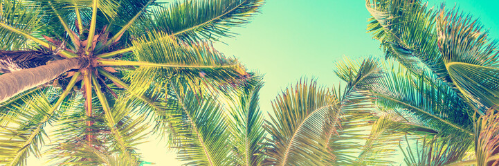 Blue sky and palm trees view from below, vintage style, tropical panoramic background