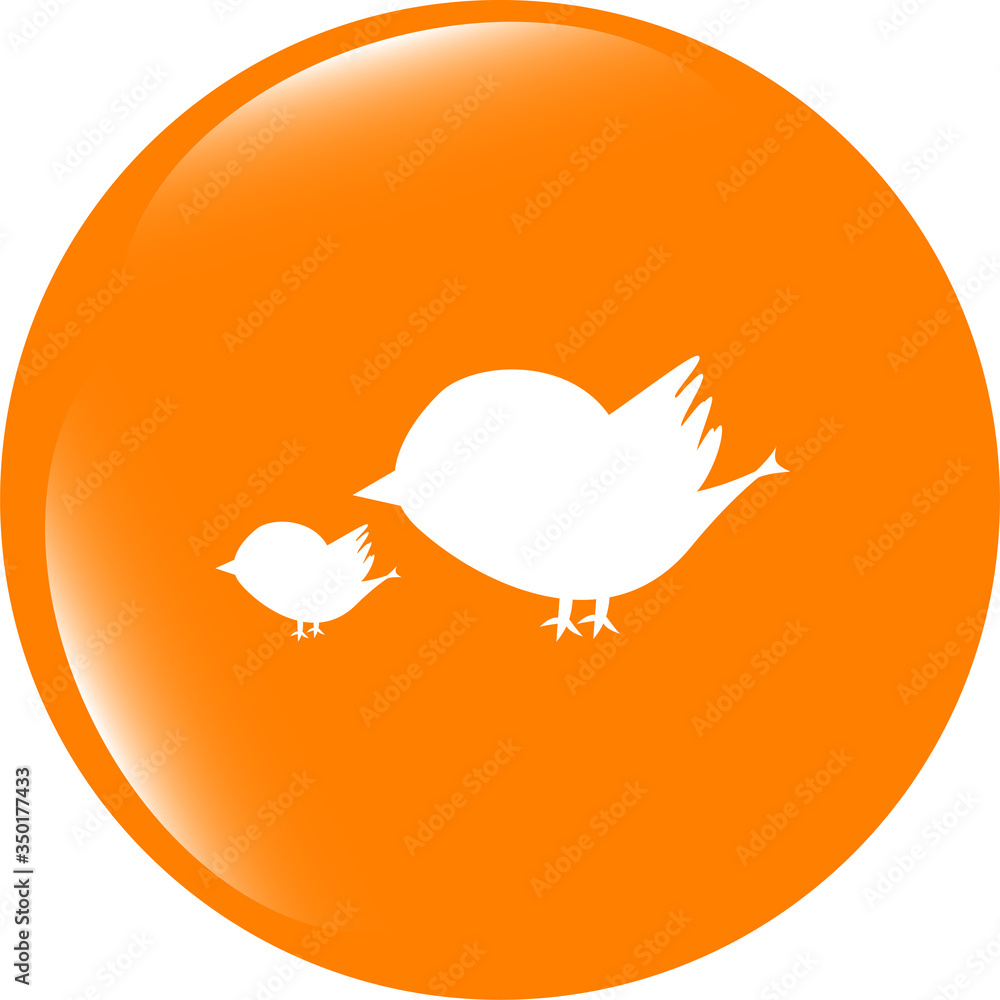 Poster glossy isolated website and internet web icon with bird family sign