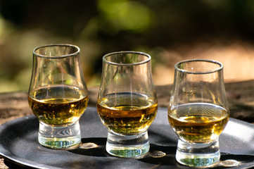 Tasting of different Scotch whiskies on outdoor terrace, dram of whiskey