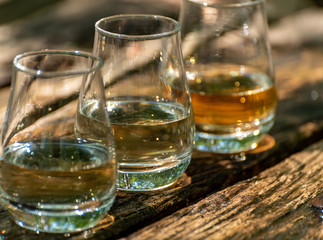 Tasting of different Scotch whiskies on outdoor terrace, dram of whiskey
