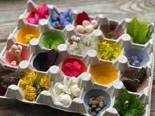 Children's creativity from the processing of the egg carton using natural material.