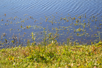 lake water blue Concepcion Chile