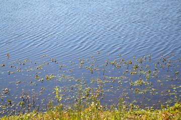 lake water blue Concepcion Chile