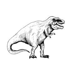 Tiranosaurus, hand drawn black and white doodle sketch, ink drawing illustration