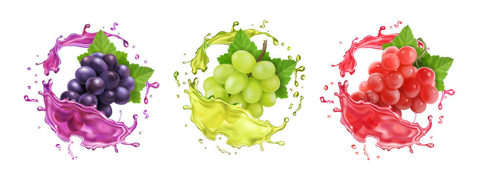 Red, rose and white wine grapes in juice splash. Table grape banches in splashing wine. Realistic fresh fruit vector icon set