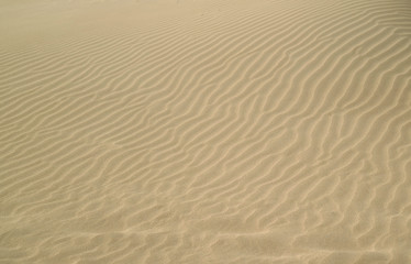 Artistic pattern of sand ripples on the beach