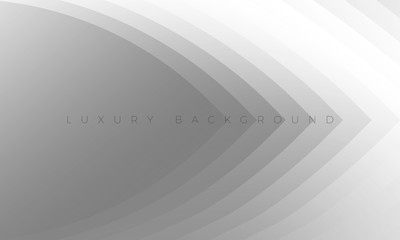 Premium silver grey background with stylish curved elements. Modern Luxury light white-gray wallpaper and background illustration. Rich abstract design for header, website template, landing, banner