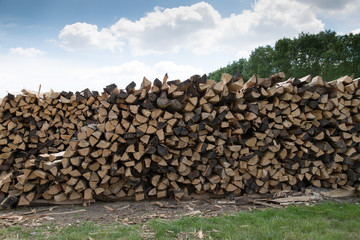 pile of firewood outdoors