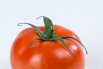 Nahaufnahme einer frischen rote Tomate vor weißem Hintergrund