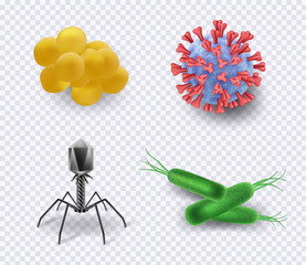 Viruses. Biology infection bacteria cells bacillus ncov microorganism vector science realistic symbols collection. Microscopic bacterium, cell and flu, microbe and virus illustration