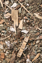 texture, pebbles, slivers, tree twigs