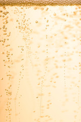 Close-up champagne bubbles sparkle