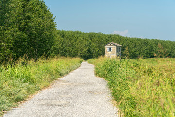Obraz premium Summer landscape along the cycle path of the Po river, italy