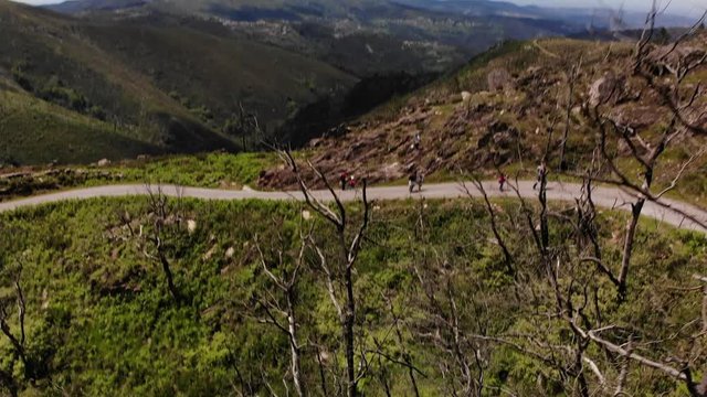 landscape of the road in the mountains