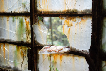 Old abandoned building dirty window in decay with broken glass forest outside