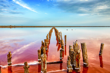 Wooden posts in a pink salt lake. Abandoned salt mining