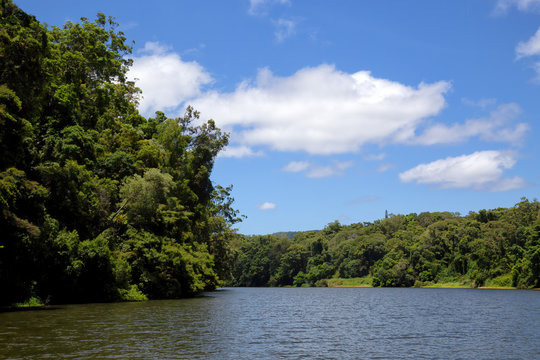 The tranquil Barron River with blue sky and green rainforest near Kuranda in Tropical North Queensland, Australia