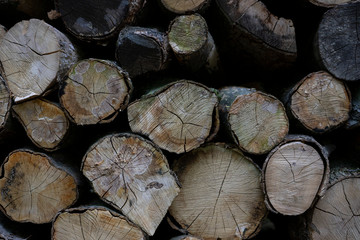 stack of wood