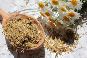 Dried chamomile medical herb in a wooden spoon and fresh daisy flowers on white shabby background....