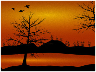Nature countryside view with trees and ducks silhouette