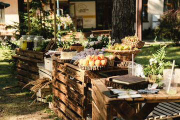 Fototapeta na wymiar A beautiful decoration of the wedding buffet table outdoors with sweets, fresh flowers on wooden coasters,an abundance of sweets on wooden coasters.,buffet reception in nature.