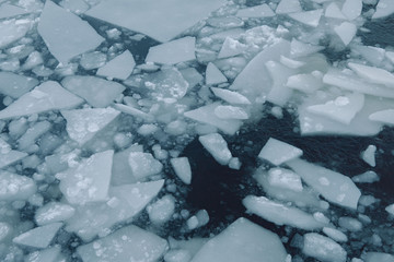 Ice blocks floating on the sea