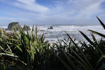 Beautiful wild coast of the Tasman Sea between Australia and New Zealand with coastal plants, waves and cliffs