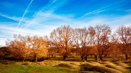 Obraz premium Park nad rzeką Guadarrama