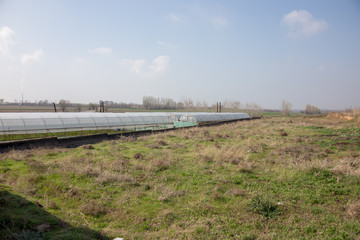 Fototapeta premium Photo of a typical greenhouse outdoors