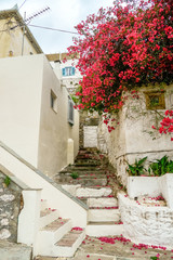 Hydra, Attica / Greece - June 6, 2010: Beautiful flowered alleys with stairs in the old historic village