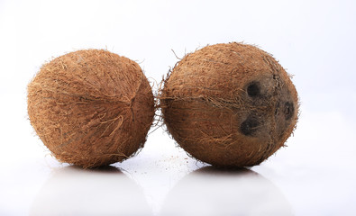 coconut shot on a white background
