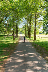 Public Park